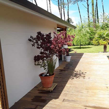 Chambre D'Hotes Les Iris A Mios Sur Le Bassin D'Arcachon Exterior photo