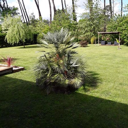 Chambre D'Hotes Les Iris A Mios Sur Le Bassin D'Arcachon Exterior photo