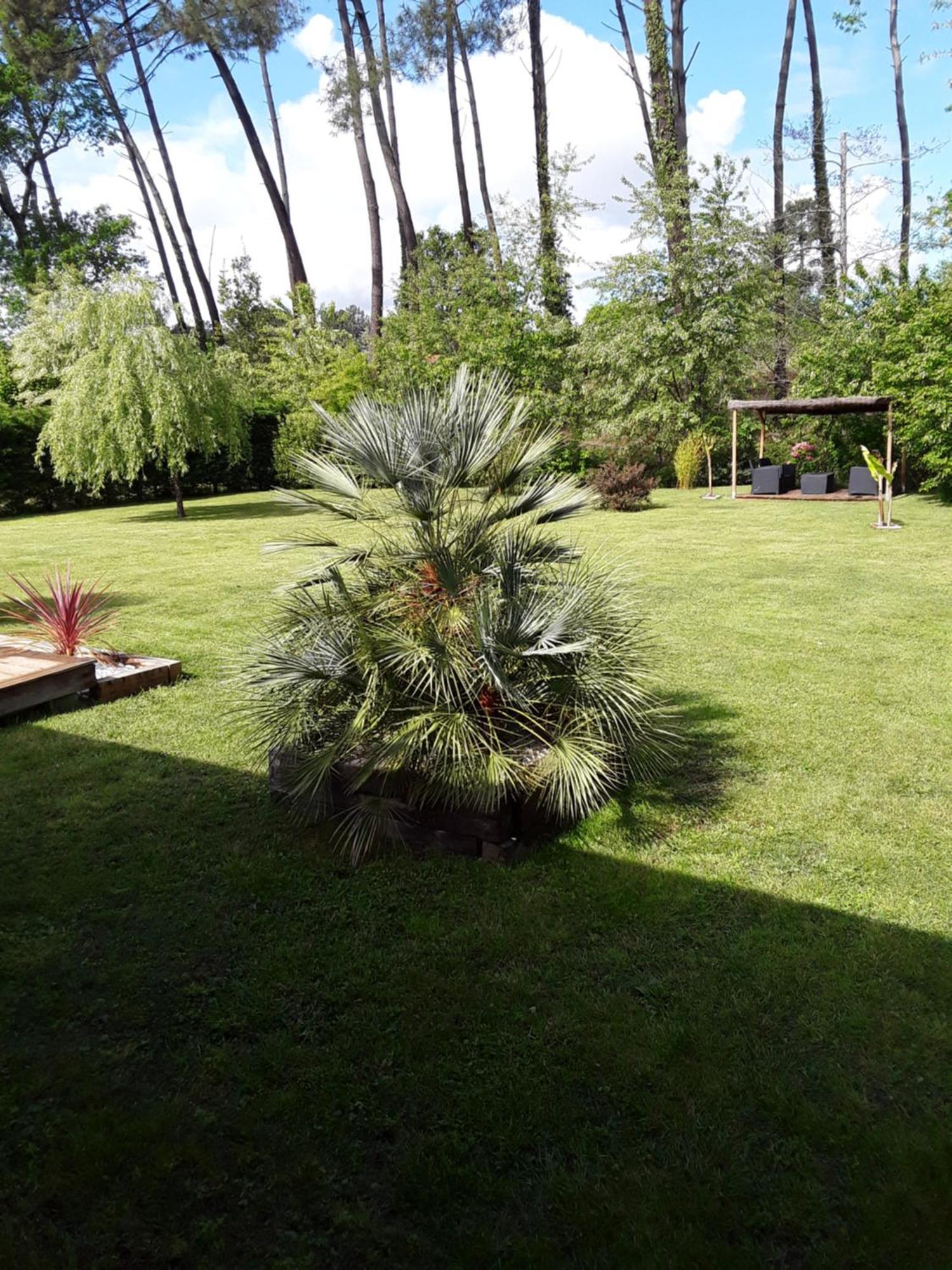 Chambre D'Hotes Les Iris A Mios Sur Le Bassin D'Arcachon Exterior photo